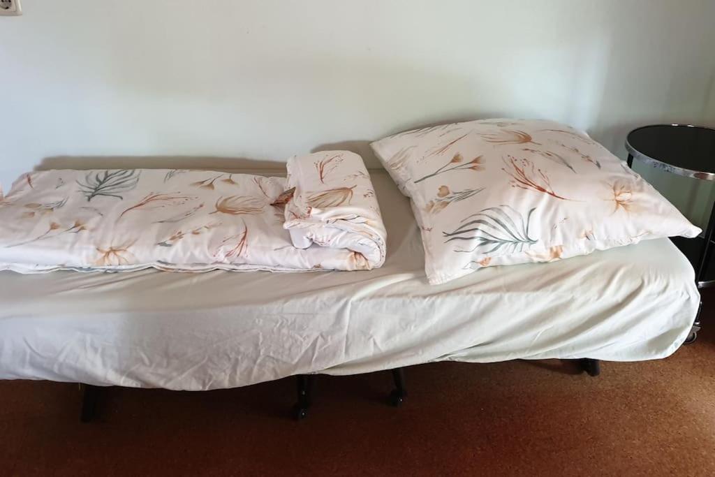 Idyllische Ferienwohnung In Zentrumsnaehe Dresden Eksteriør billede