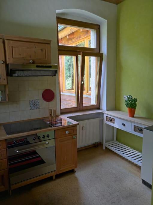 Idyllische Ferienwohnung In Zentrumsnaehe Dresden Eksteriør billede