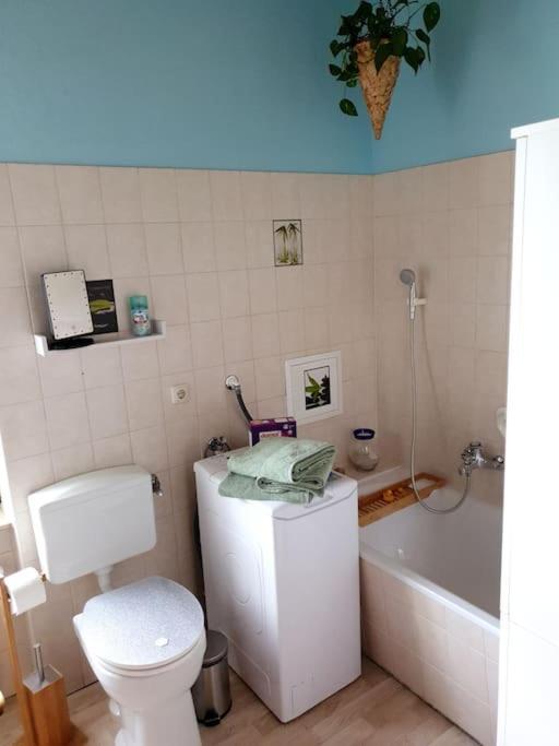 Idyllische Ferienwohnung In Zentrumsnaehe Dresden Eksteriør billede